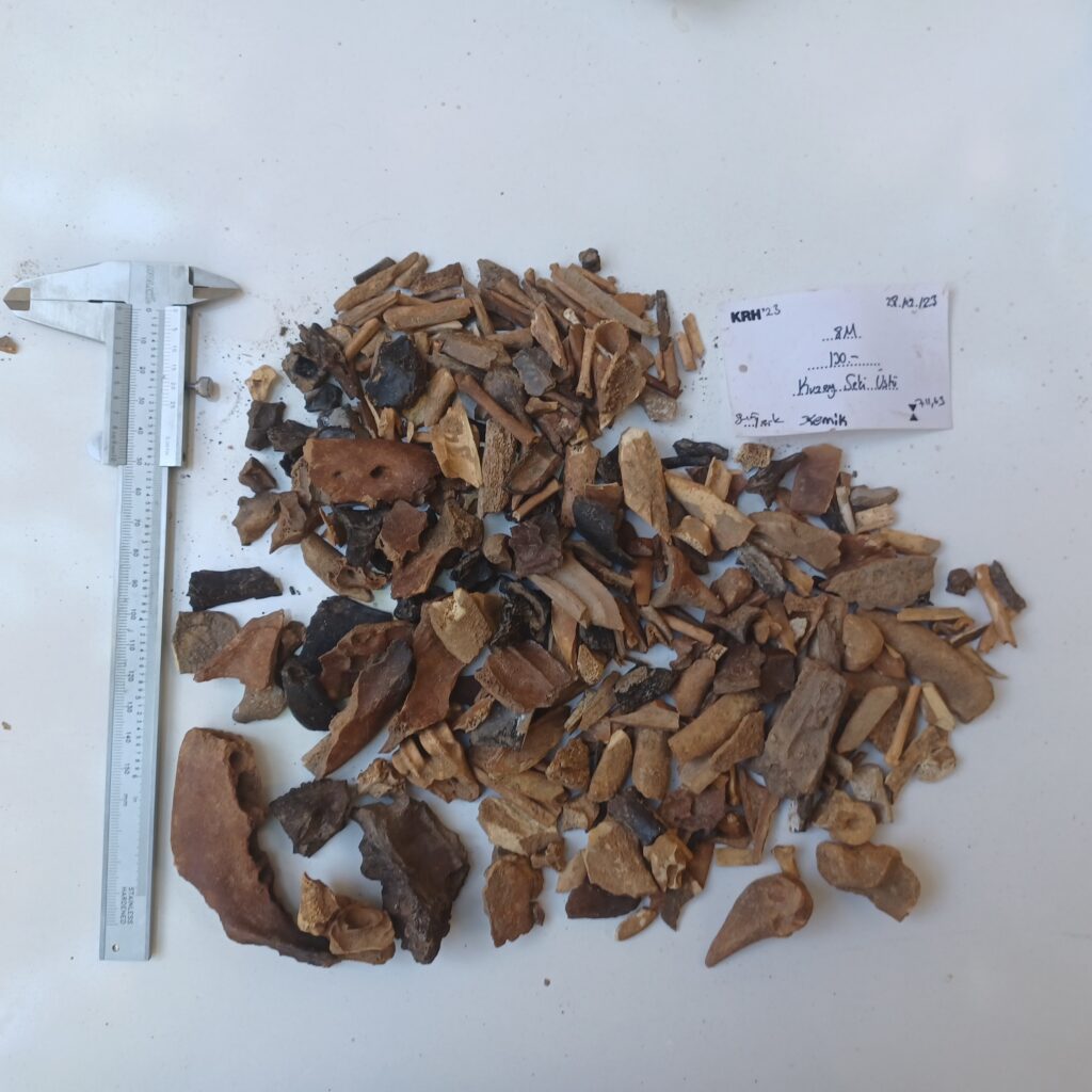 Tierknochen, teilweise verbrannt, und ein Messschieber